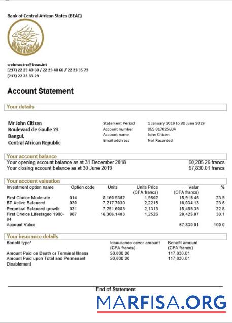 Realistic Central African Republic Bank of Central African States (BEAC) bank statement word download for verification